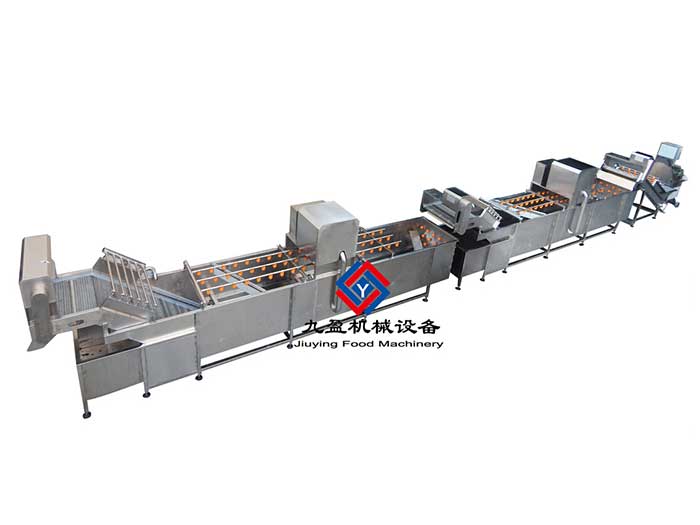 梅菜清洗流水线